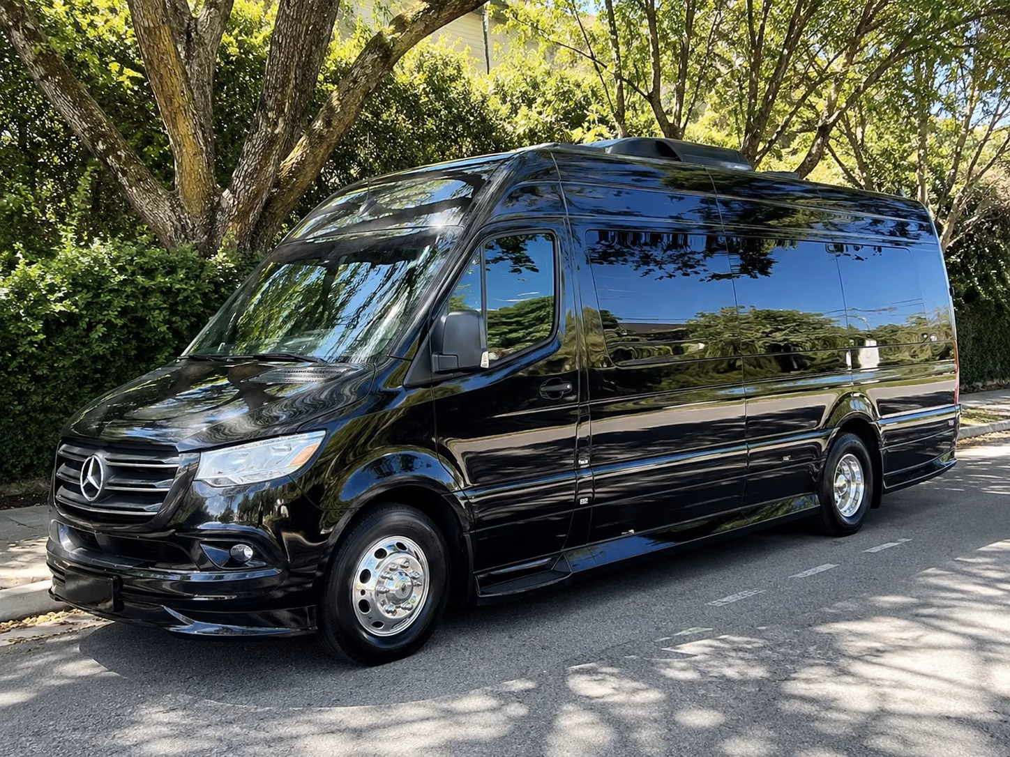 athens 10 passenger sprinter van